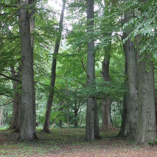 Park pałacowy, XVIII/XIX