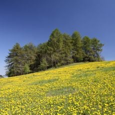 Háje (natural monument)