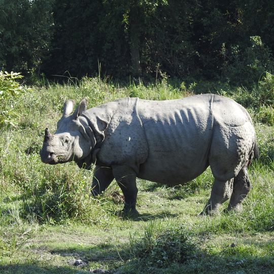 Kaziranga-Nationalpark