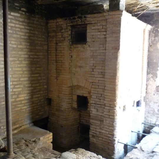 Sécherie de pommes de pins sylvestres