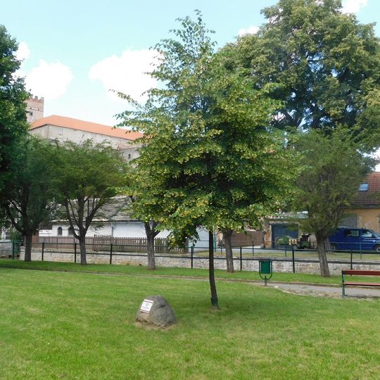 Lípa svobody - památník 150. výročí Sokola v Brtnici