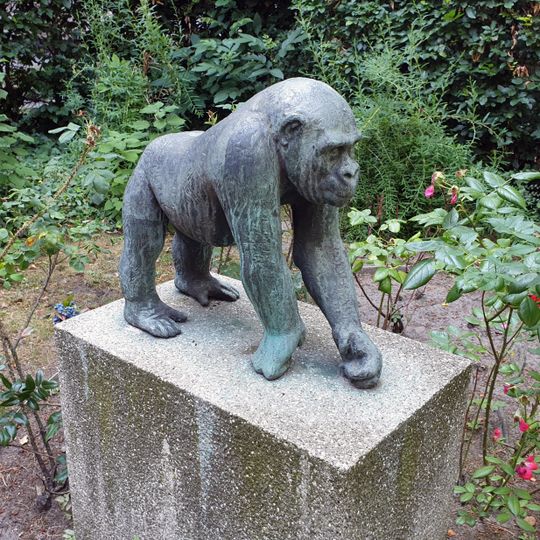 Junger Gorilla „Bakala“