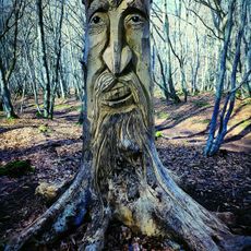 La forêt enchantée