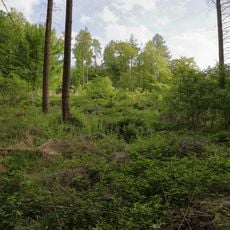 Quelle Tauberberg Abt. 2 a/2