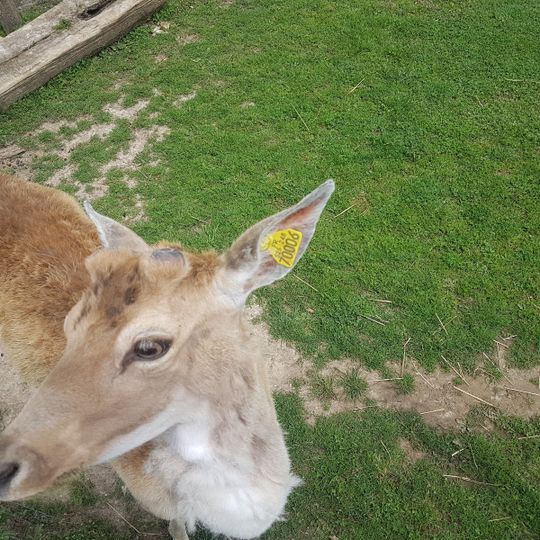 Edentara - Ferme Pédagogique Exotique