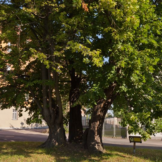 Linde Chemnitzer Straße