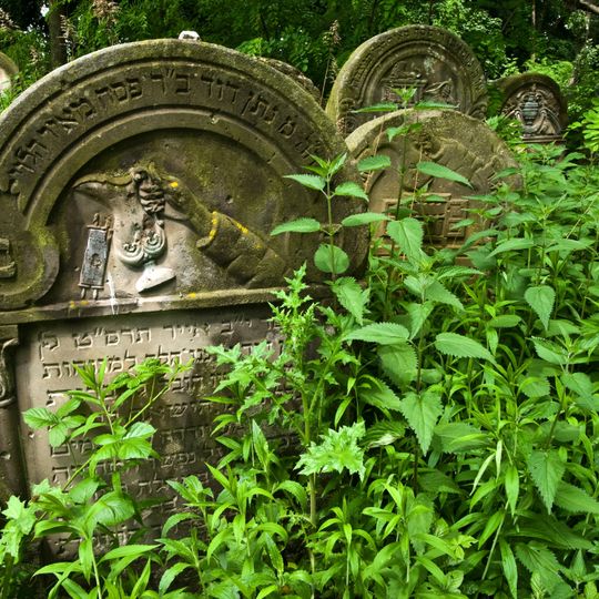 Cmentarz żydowski w Ożarowie