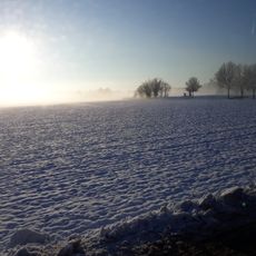 Golena San Vitale e Golena del Lippo