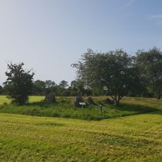 Vittrup Mark Langdysse