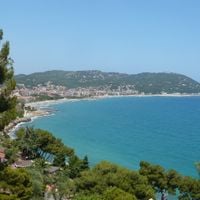 Andora