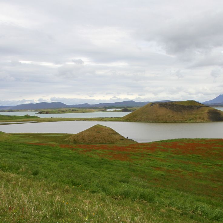Lago Mývatn