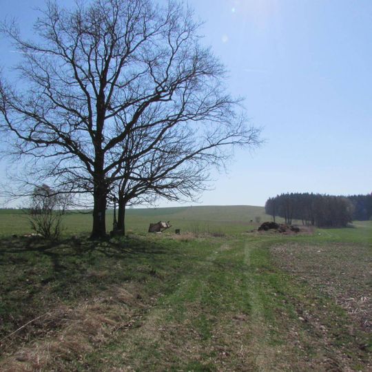 Kříž pod Šibenným vrchem u polní cesty mezi Červenou Řečicí a Bácovicemi