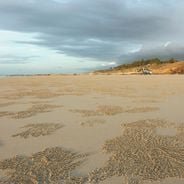 Austrália Ocidental: praias, parques nacionais e locais naturais