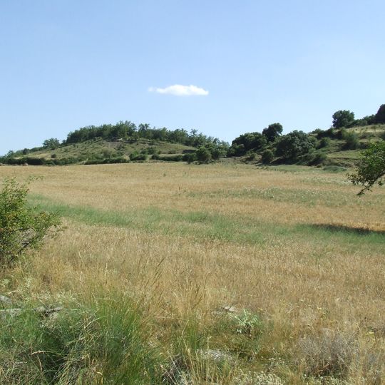 Planell de Sallamana