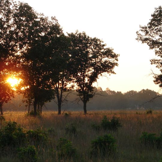 Refuge faunique national Necedah