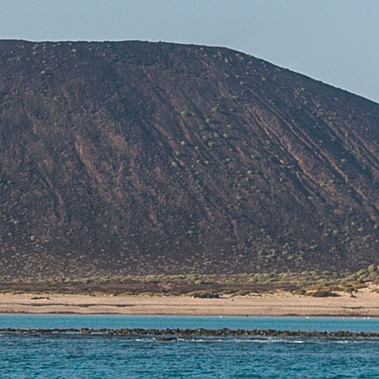 ロボス島