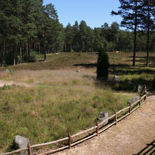 Naturschutzgebiet Kręgi Kamienne