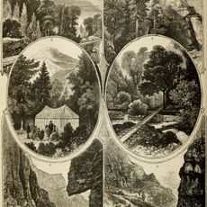 Forest City