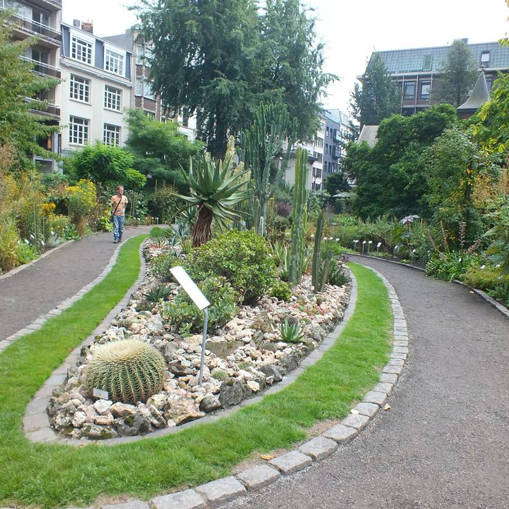Botaniska trädgården