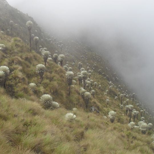 Parque natural regional Sisavita