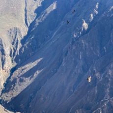 Mirador Cruz del Condor