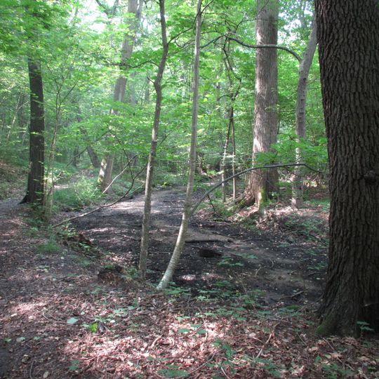 Lange Dammwiesen und Unteres Annatal