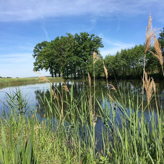 Langenbachgrund und Haarweiherkette