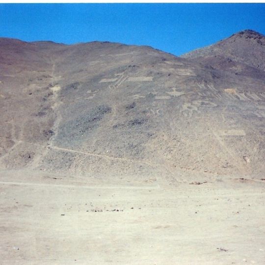 Pampa del Tamarugal