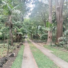 Jardín Botánico de Guatemala