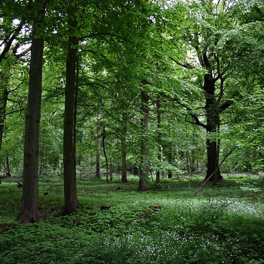 Timmerlaher Busch, Gleidinger Holz und angrenzende Landschaftsteile