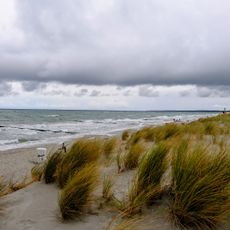 Hundestrand