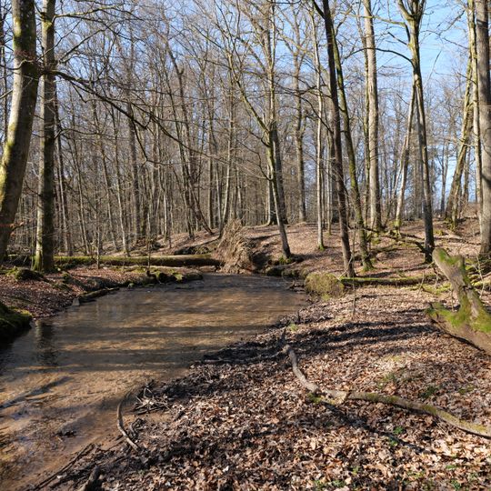 Biberlebensraum Hessischer Spessart