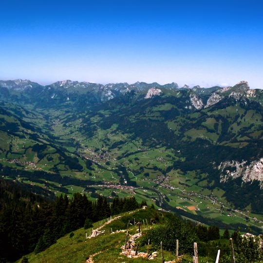 Simmental