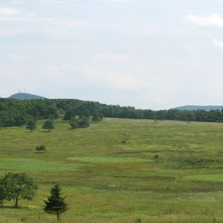 Big Meadows