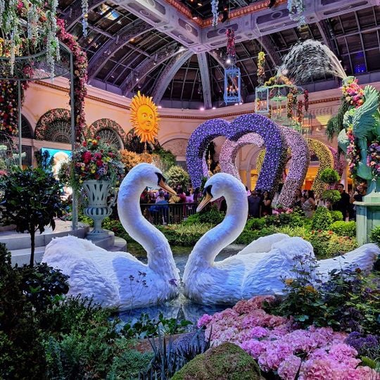 Bellagio Conservatory & Botanical Gardens
