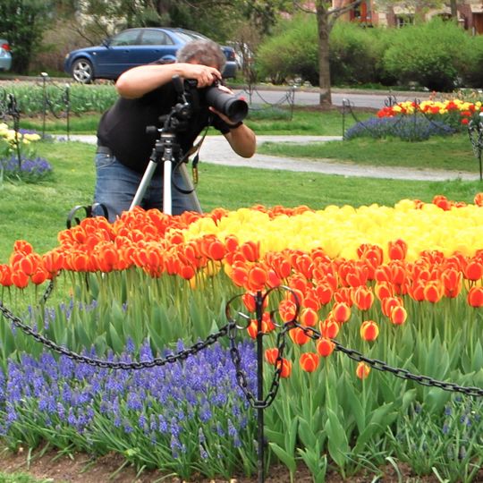 Washington Park Historic District