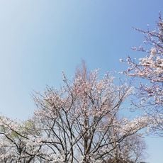 近江八幡運動公園