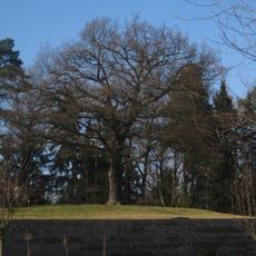 Liberec - Strážní dub