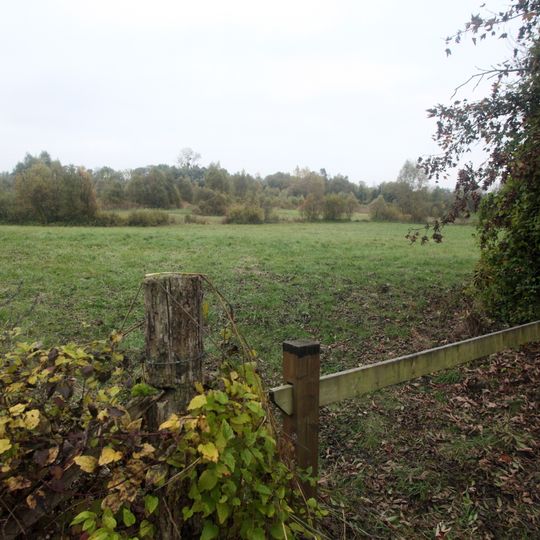 Etang Et Prairie Humide Des Paquis À Larzicourt