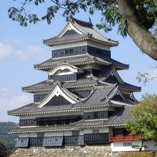 Matsumoto Domain