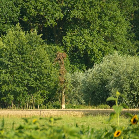 Stojanów, Łódź Voivodeship