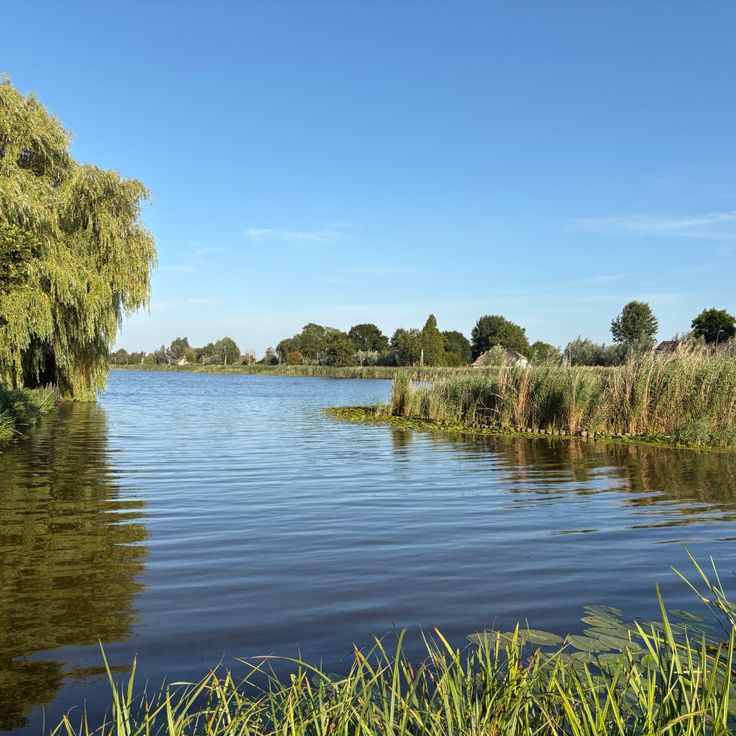 Reeuwijkse plassen