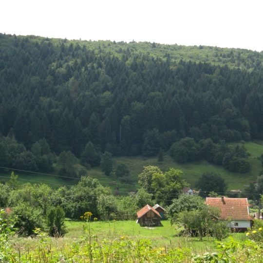 Kniazhdvirskyi Reserve