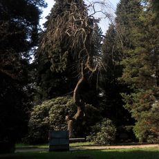 Michaeliskapelle und Friedhof (Sachgesamtheit) Bahnhofstraße