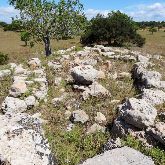 Figueral de Son Real