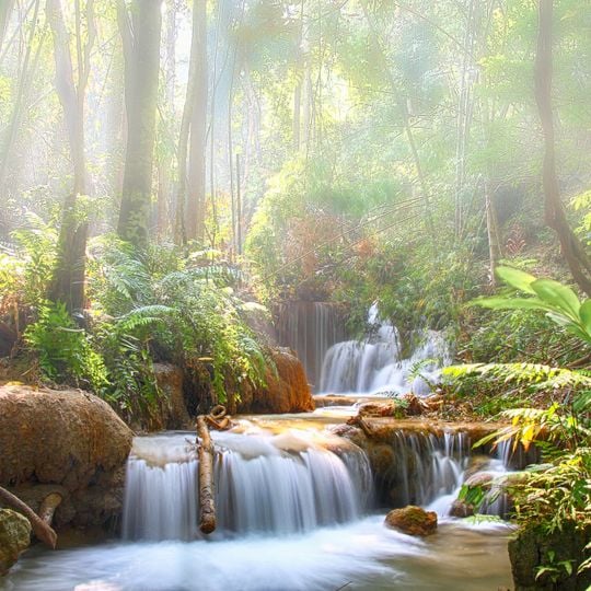 Doi Luang National Park