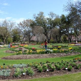 Arboreto y Jardín Botánico de Dallas