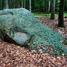 Schalenstein im Staatsforst Schieder