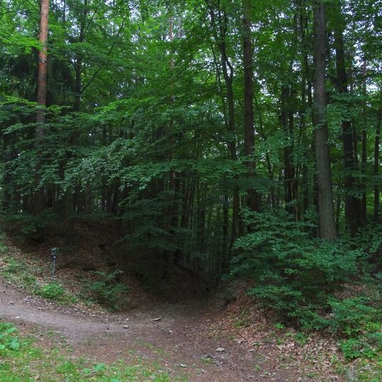 Keltensiedlung auf dem Ringkogel