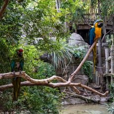 Fresno Chaffee Zoo